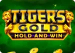 Video Slot 8